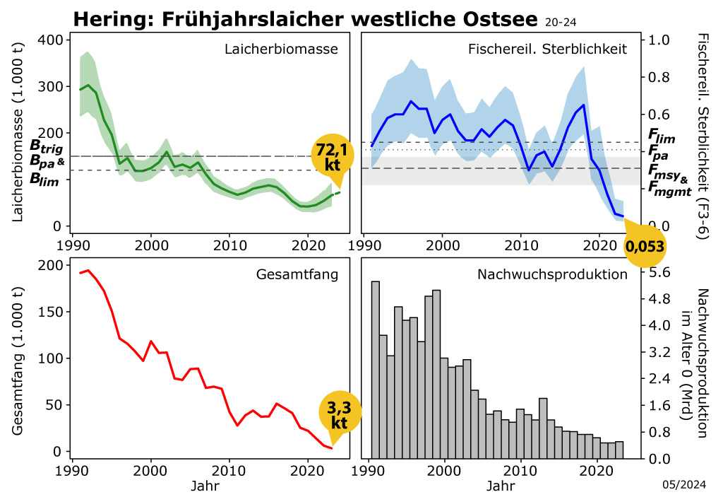 Grafik mit der Bestandsentwicklung von Hering in der westlichen Ostsee